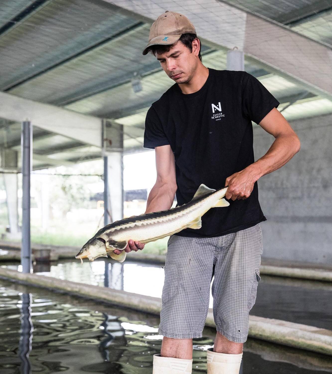 CAVIAR DE NEUVIC - REPORTAGE - 25-06-2019-185